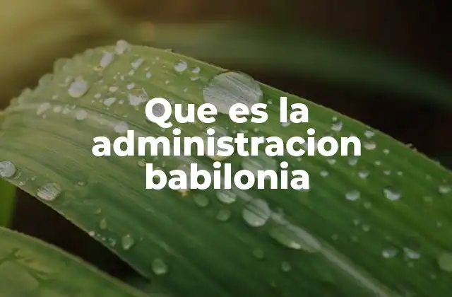 Que es la Administracion Babilonia