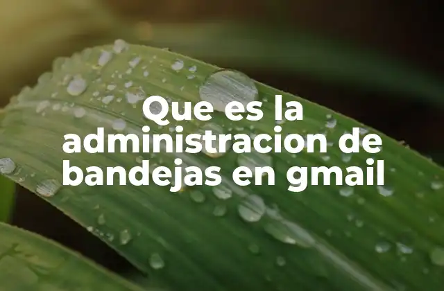 Que es la Administracion de Bandejas en Gmail