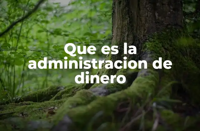 Que es la Administracion de Dinero
