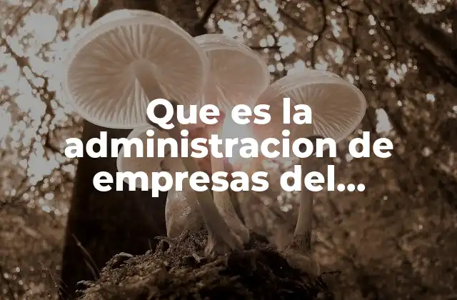 Que es la Administracion de Empresas Del Entretenimiento