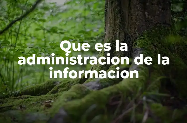 Que es la Administracion de la Informacion