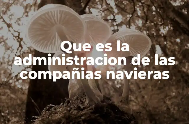 Que es la Administracion de las Compañias Navieras