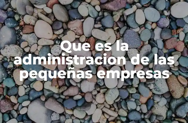 Que es la Administracion de las Pequeñas Empresas