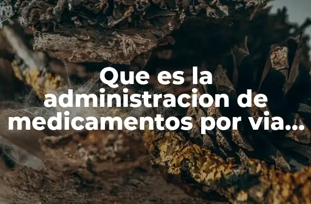 Que es la Administracion de Medicamentos por Via Intravenosa