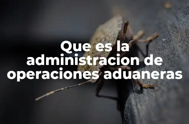 Que es la Administracion de Operaciones Aduaneras