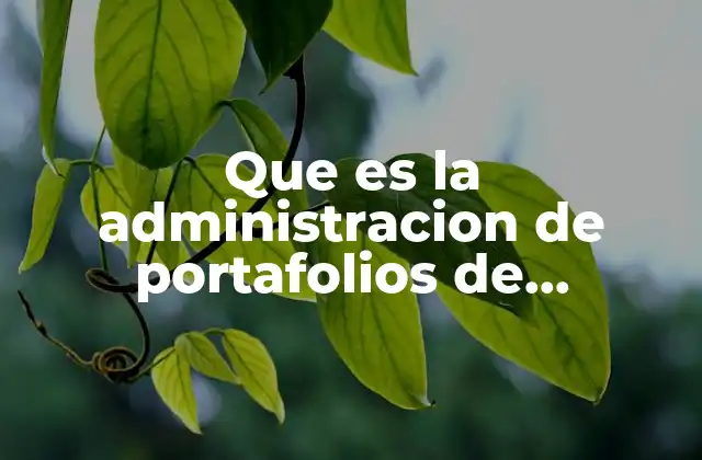 Que es la Administracion de Portafolios de Proyectos