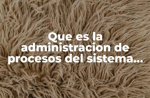 Que es la Administracion de Procesos Del Sistema Operativo