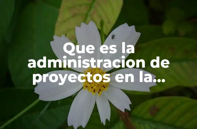 Que es la Administracion de Proyectos en la Construccion