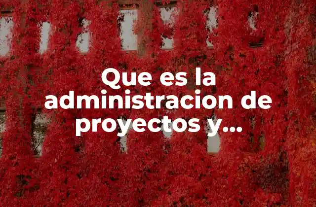 Que es la Administracion de Proyectos y Entregables