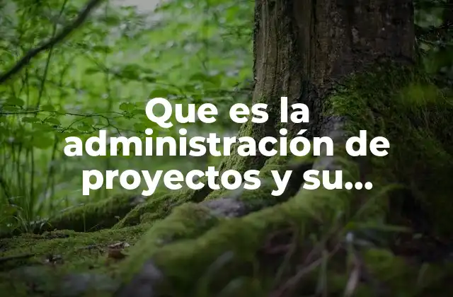 Que es la Administración de Proyectos y Su Importancia