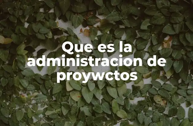 Cómo se estructura el proceso de gestión de proyectos