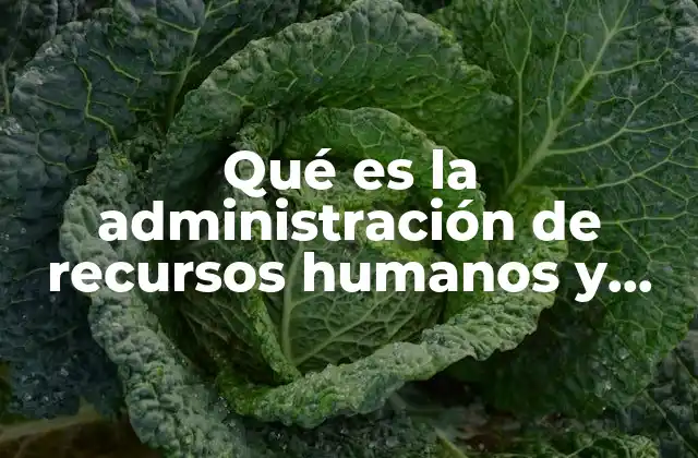 Qué es la Administración de Recursos Humanos y Sus Objetivos