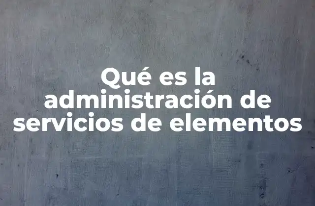 Qué es la Administración de Servicios de Elementos