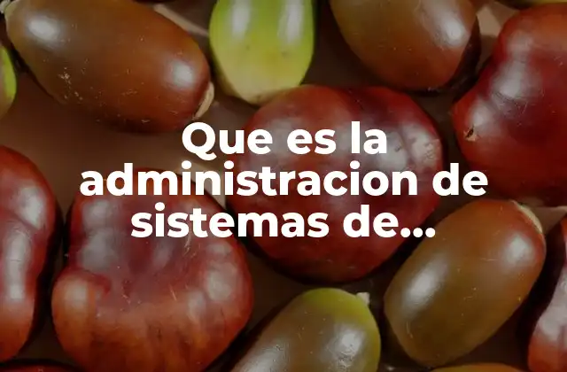 Que es la Administracion de Sistemas de Produccion