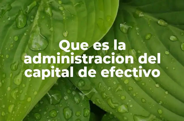 Que es la Administracion Del Capital de Efectivo