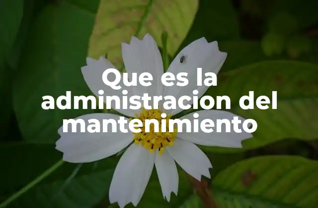 Que es la Administracion Del Mantenimiento