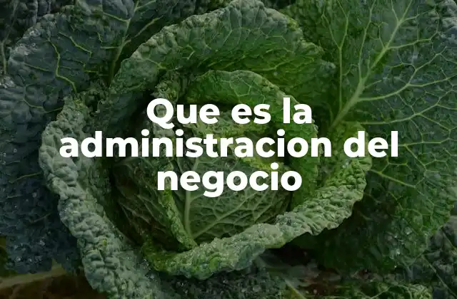 Que es la Administracion Del Negocio