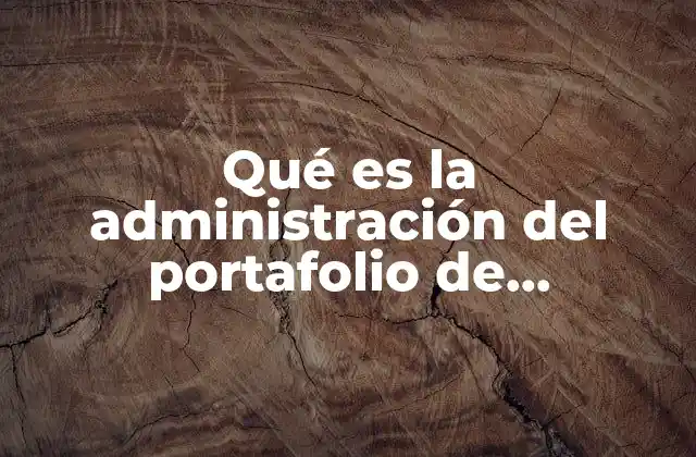 Qué es la Administración Del Portafolio de Productos