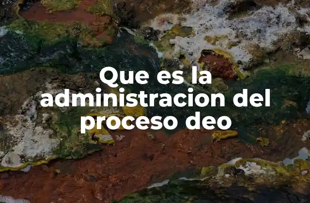 Que es la Administracion Del Proceso Deo