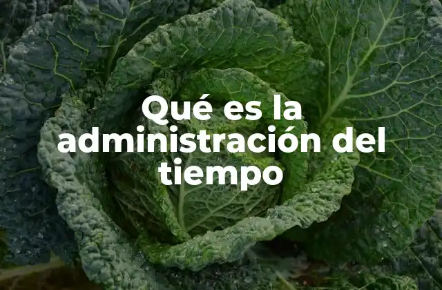Qué es la Administración Del Tiempo