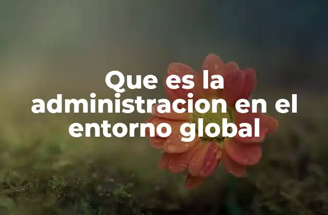 Que es la Administracion en el Entorno Global