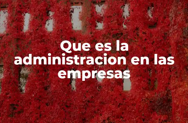 Que es la Administracion en las Empresas