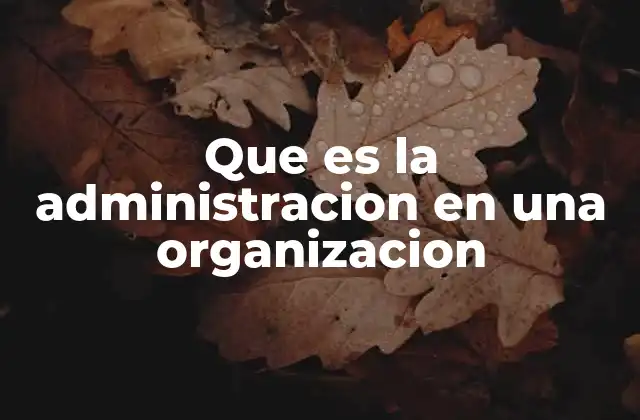 Que es la Administracion en una Organizacion 2 El papel de la administración en el desarrollo organizacional