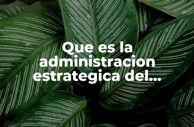 Que es la Administracion Estrategica Del Comercio Exterior
