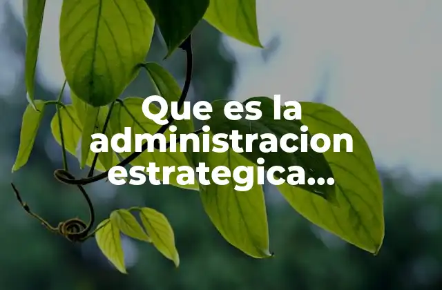 Que es la Administracion Estrategica Internacional