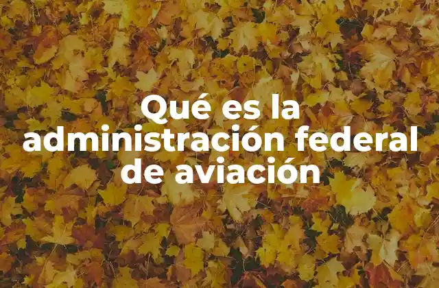 Qué es la Administración Federal de Aviación