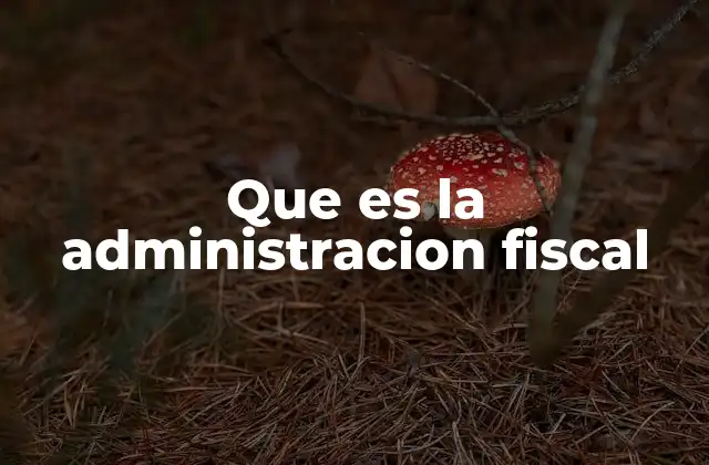 Que es la Administracion Fiscal