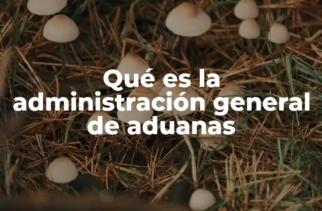 Qué es la Administración General de Aduanas