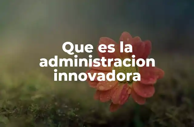 Que es la Administracion Innovadora