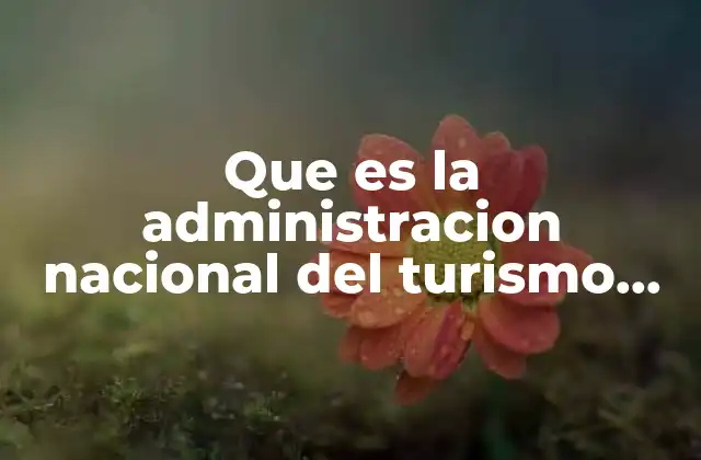 Que es la Administracion Nacional Del Turismo Ant