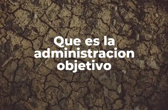 Que es la Administracion Objetivo