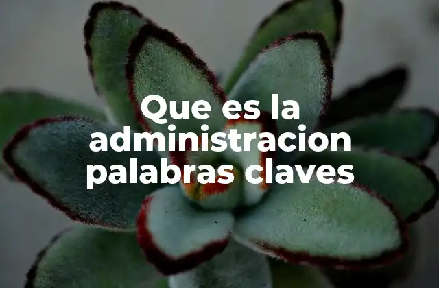 La importancia de las palabras clave en el marketing digital