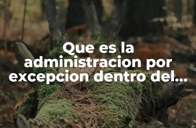 Que es la Administracion por Excepcion Dentro Del Control Presupuestal