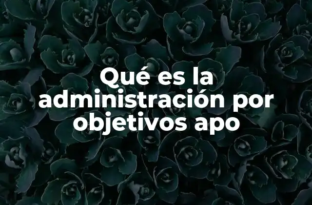 Qué es la Administración por Objetivos Apo