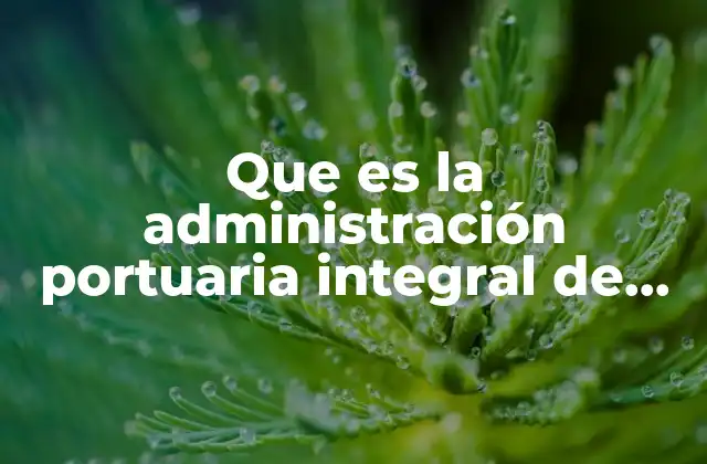 Que es la Administración Portuaria Integral de Ensenada