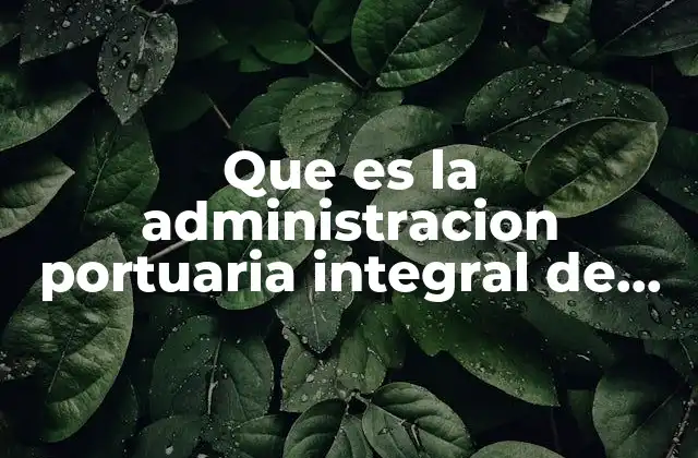 Que es la Administracion Portuaria Integral de Salina Cruz