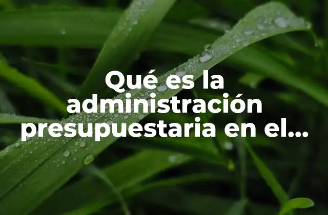 Qué es la Administración Presupuestaria en el Sector Público