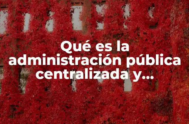 Qué es la Administración Pública Centralizada y Descentralizada