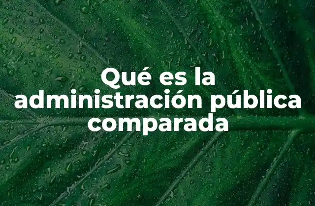 El papel de la administración pública en el desarrollo nacional