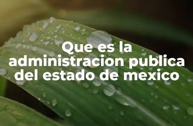 Que es la Administracion Publica Del Estado de Mexico