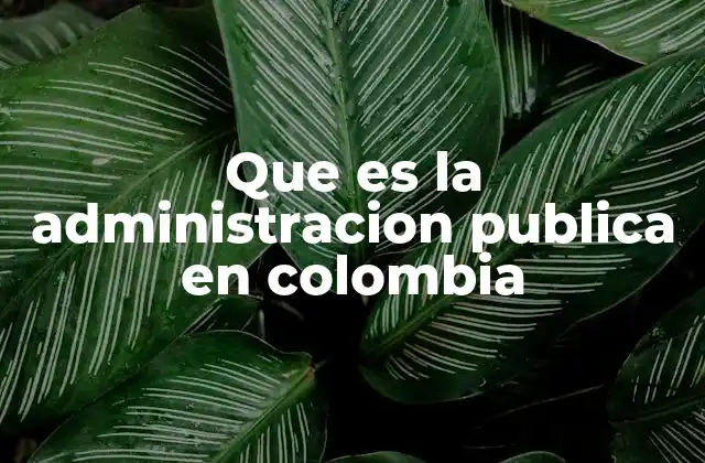 Que es la Administracion Publica en Colombia