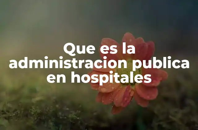 El funcionamiento interno de los hospitales bajo gestión pública