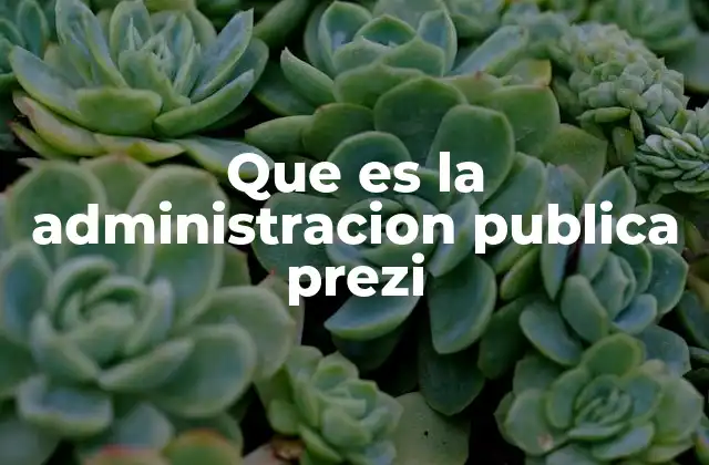 Que es la Administracion Publica Prezi