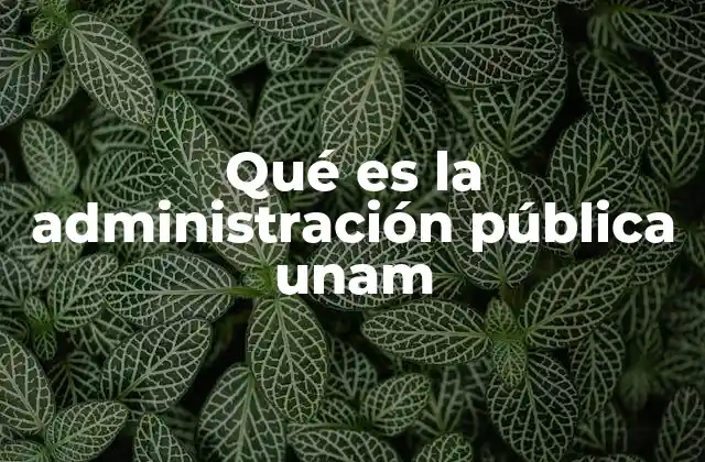 Qué es la Administración Pública Unam
