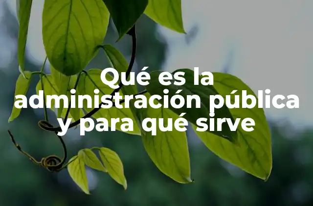 Qué es la Administración Pública y para Qué Sirve