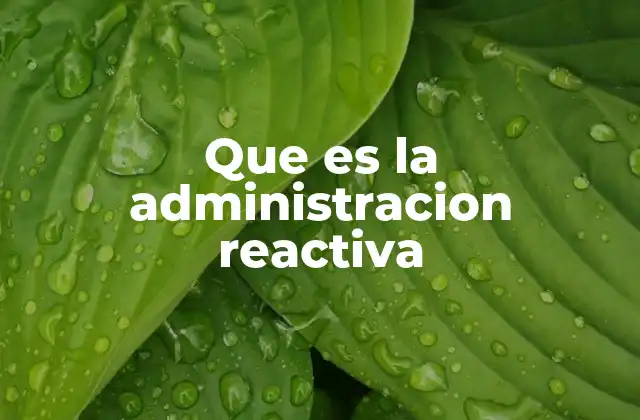 Que es la Administracion Reactiva